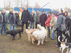 Eröffnung des "DogPark" am Großen Tech in Altenburg wurde mit großen Andrang gefeiert. (Foto: der uNi)