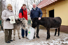 Marlies Bachmann (links) und Andrej Rahm vom Schmöllner Landhandel erhielten von Ingrid Kipping den Patenbrief. Eselin Lisa interessierte sich mehr für die Futterspende. (Foto: Ronny Seifarth)