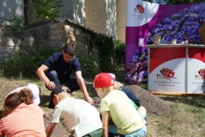 Jungen und Mädchen des Kindergartens Lerchenberg pflanzten heute, (21. August), gemeinsam mit Altenburgs Oberbürgermeister André Neumann an der Auffahrt zum Schloss Safranknollen. (Foto: Franziska Ebert)