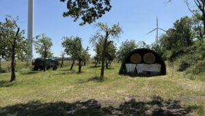 Bestand an alten Obstbäumen auf der Streuobstwiese Neubraunshain (Foto: Landratsamt Altenburger Land)