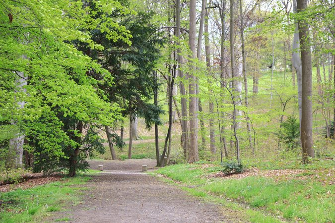Altenburger Schlosspark, (Foto: Residenzschloss Altenburg/Silke Arnold)